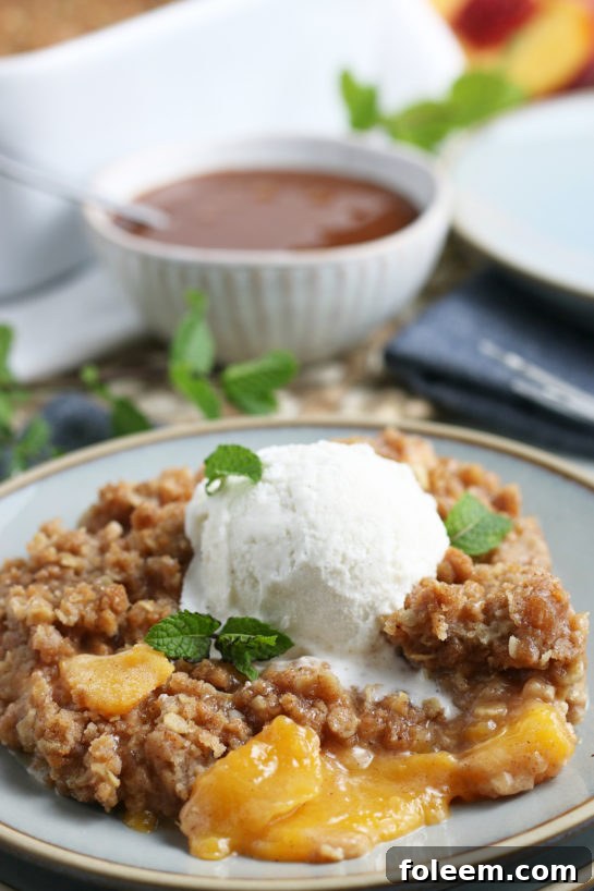 Delicious serving of homemade fresh peach crisp with a scoop of vanilla ice cream