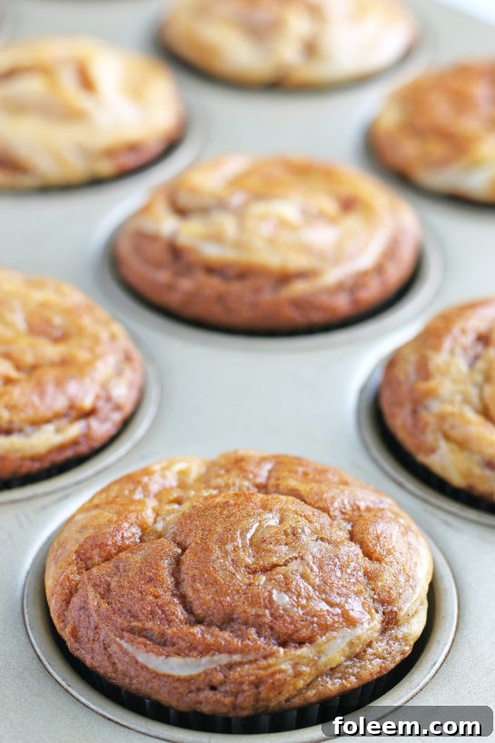 Simple yet elegant Pumpkin Cream Cheese Swirl Muffins, perfect for a cozy breakfast or a festive dessert during fall, Christmas, or Thanksgiving.