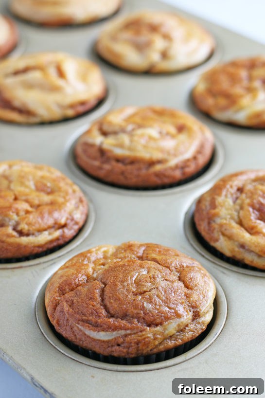 Close-up of freshly baked Pumpkin Cream Cheese Swirl Muffins, showcasing their fluffy texture and golden-brown tops.