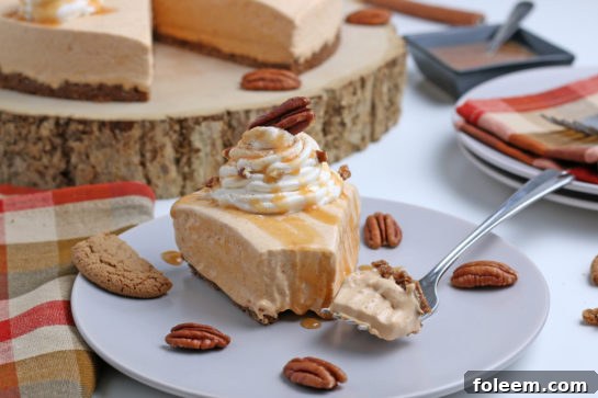Finished shot of the No Bake Pumpkin Cheesecake with extra spiced flavor and gingersnap crust. It is a fool proof recipe because it turns out amazing every time! This is the perfect Thanksgiving or Christmas dessert!