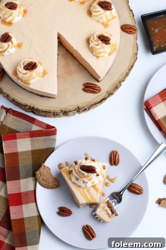 Overhead shot of the No Bake Pumpkin Cheesecake with extra spiced flavor and gingersnap crust. It is a fool proof recipe because it turns out amazing every time! This is the perfect holiday dessert!