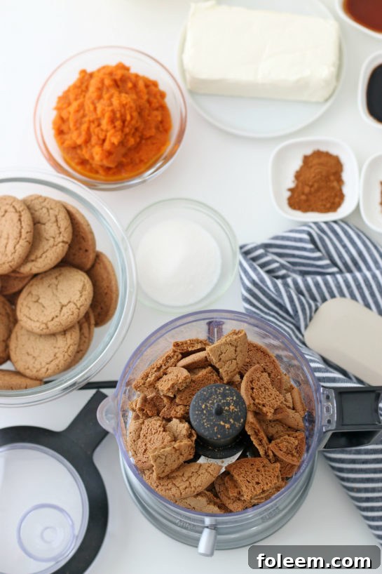 Processing the gingersnaps cookies to make the No Bake Pumpkin Cheesecake recipe