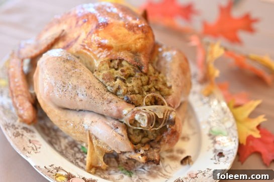 A perfectly roasted golden-brown classic stuffed turkey, ready for Thanksgiving dinner, with a beautifully crispy skin and tender meat.