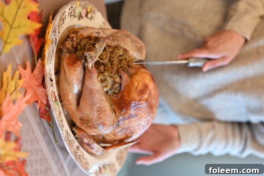 Close-up view of a succulent classic stuffed turkey, freshly roasted and glistening, showcasing the golden-brown skin and a hint of flavorful stuffing.