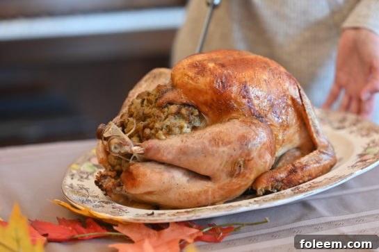 A close-up of the perfectly browned, crispy skin of a classic stuffed turkey, hinting at the juicy meat and flavorful stuffing within, ready for carving.
