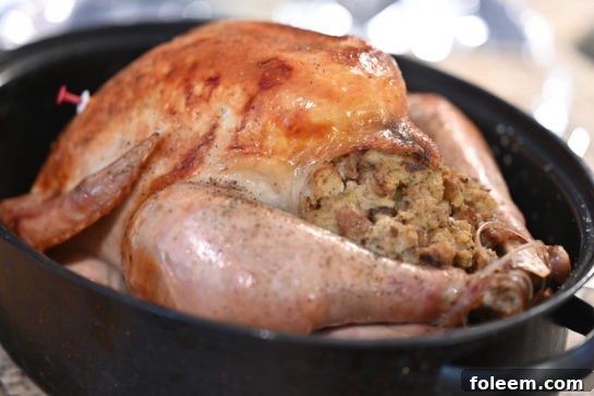 A succulent classic stuffed turkey, beautifully roasted to a deep golden color, presented on a platter with herbs and garnishes, ready for the holiday table.