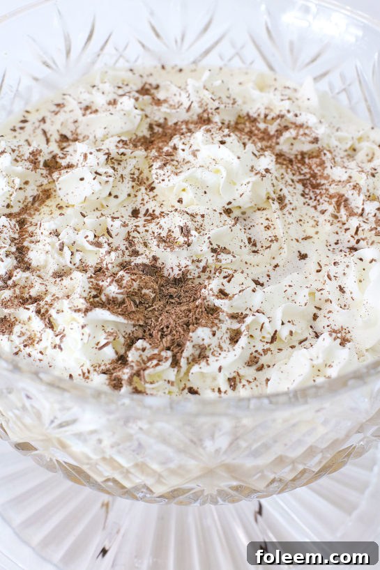 Detailed shot of coffee punch garnished with whipped cream and shaved chocolate.