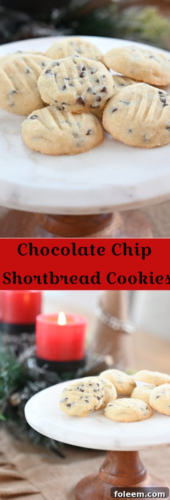 Chocolate Chip Shortbread Cookies ready to be served