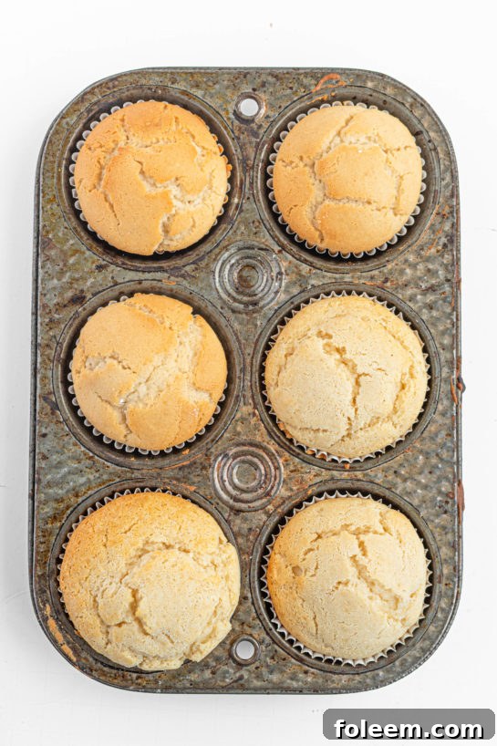 Freshly baked Champagne Cupcakes cooling on a rack, straight out of the oven, ready for frosting.