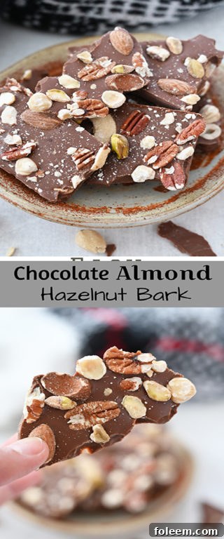 Final presentation of simple 5-ingredient Salted Chocolate Almond Hazelnut Bark for gifting or enjoying