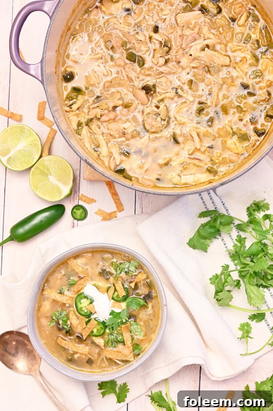 Warm, comforting White Chicken Chili recipe is a flavorful blend of tender chicken, white beans and just enough spice, ready to be served.