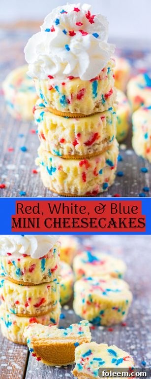 Mini Red, White, and Blue Cheesecakes recipe layered with a Golden Oreo crust and creamy tangy cheesecake. Top with sprinkles & whipped cream for the perfect patriotic dessert for 4th of July!