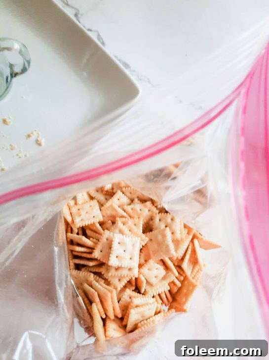 A zip-top bag filled with crackers and seasoning, ready for shaking to distribute the flavors evenly.