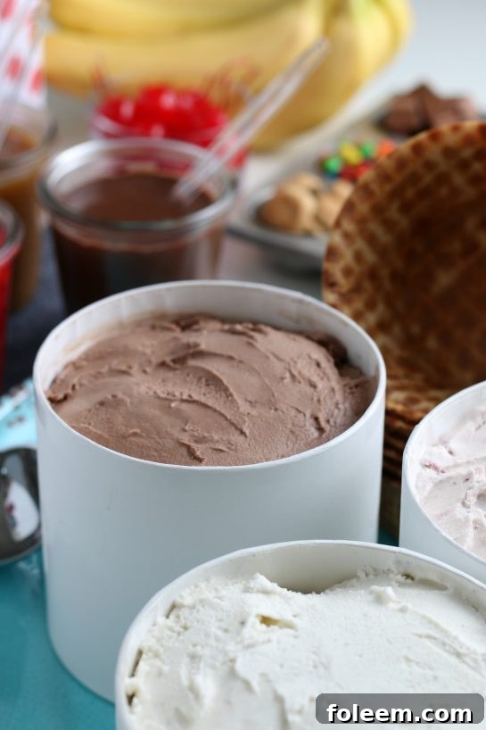 A delightful ice cream sundae bar, perfectly set up for a celebration with a wide selection of toppings.