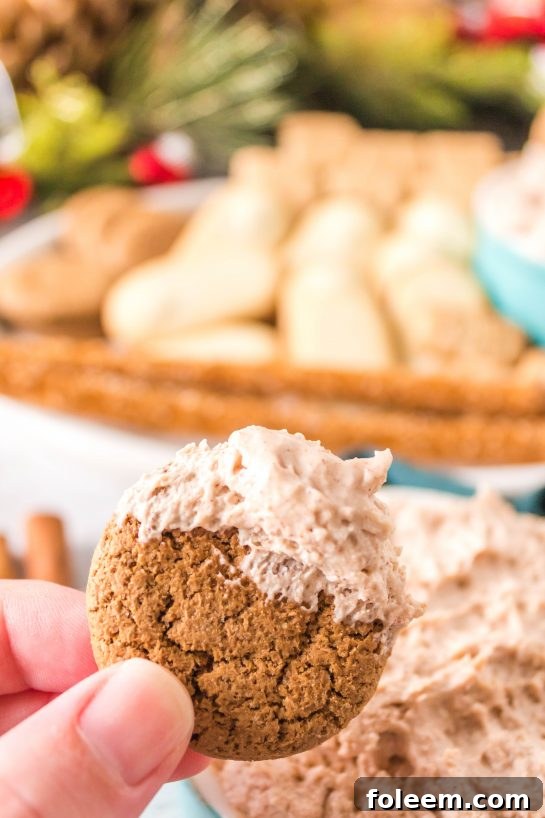 Photo of finished dip the ginger snaps for the Cinnamon Roll Dip recipe for Christmas dessert