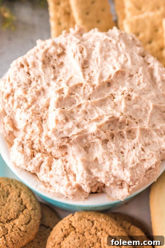 Close-up photo of Cinnamon Roll Dip recipe