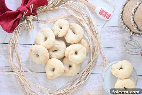 Italian Wine Cookies (Ciambelle al Vino) recipe are a perfect addition to your holiday cookie trays These cookies are light, crunchy, easy to make and made with wine. These are great dipped in coffee or tea!