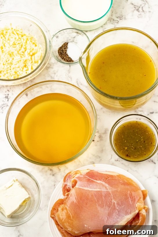 Ingredients needed for Crock Pot Green Chili Chicken Enchilada Soup