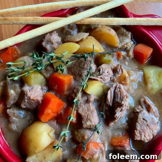 Guinness Stout Beef stew recipe, a rich, dark stew in a bowl with a spoon.