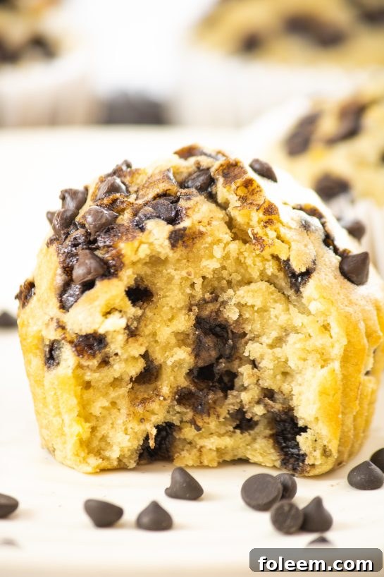 Warm banana chocolate chip muffins, ready for a comforting breakfast.