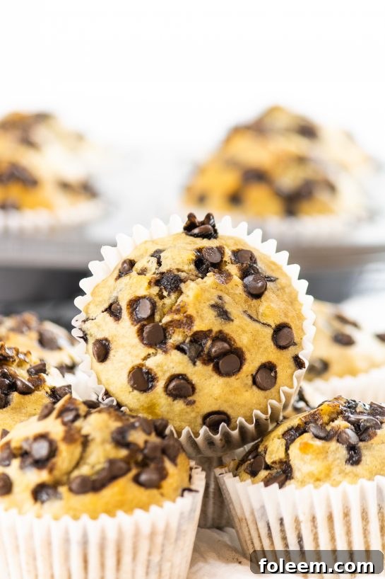 A spread of banana chocolate chip muffins, perfect for family enjoyment.