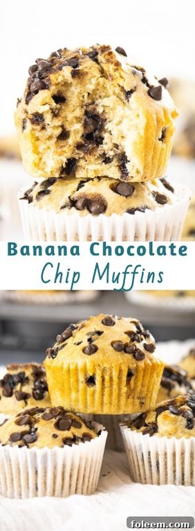 A beautifully presented banana chocolate chip muffin, ready to be eaten.