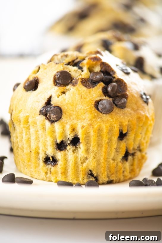 A close-up view of a banana chocolate chip muffin, revealing its moist interior and melted chocolate chips.