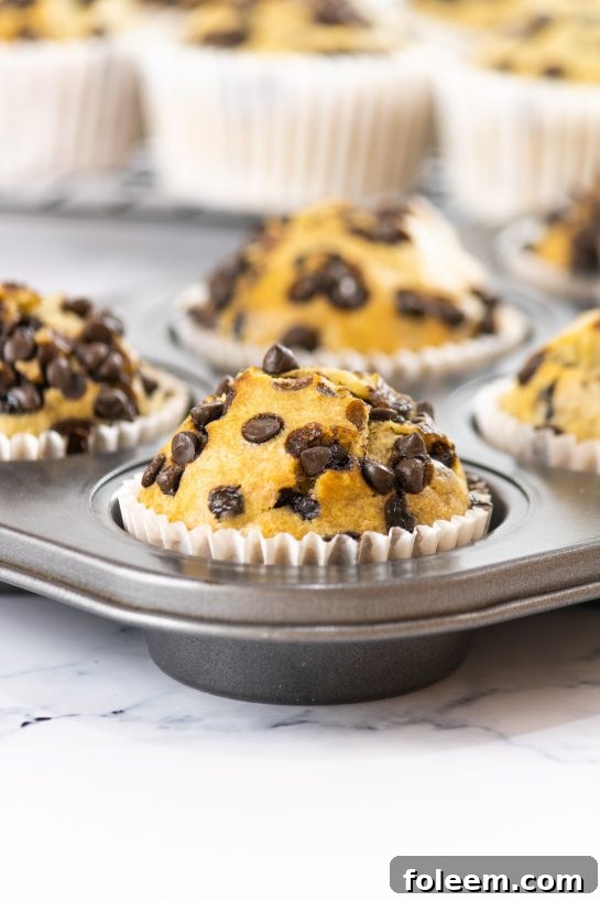 Hot banana chocolate chip muffins coming out of the oven, ready to cool.