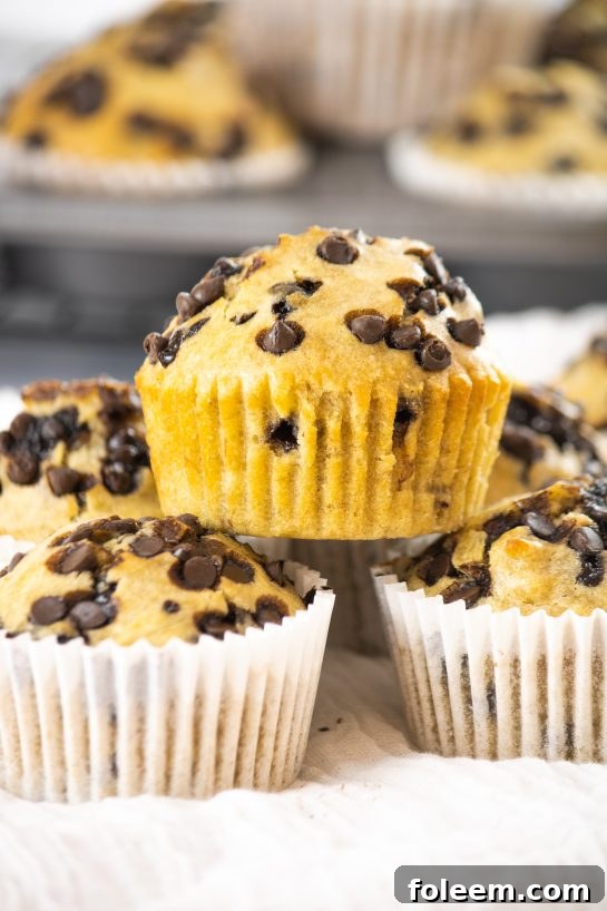 Mini banana chocolate chip muffins arranged beautifully on a plate.