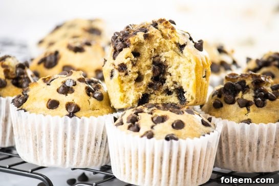 A plate of banana chocolate chip muffins, perfect for a cozy morning.