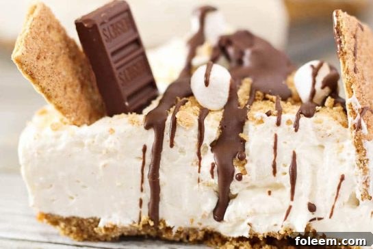 This s'mores cheesecake is a no-bake dessert combining two favorite classics! An easy recipe made with ingredients from your favorite fireside treat.