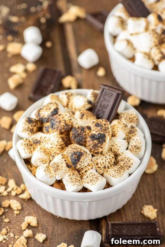 This s'mores crème brûlée consists of a chocolate custard topped with crushed graham crackers and toasted marshmallows, bringing back those wonderful campfire memories.