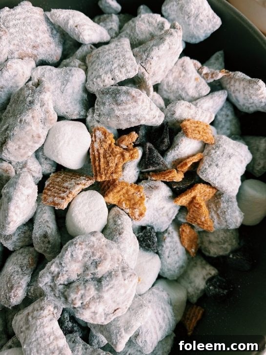 This S'mores Puppy Chow is perfect for snacking, potlucks, and easy on the go. Features melted chocolate and marshmallows with a hint of honey graham crackers that will make your mouth water.