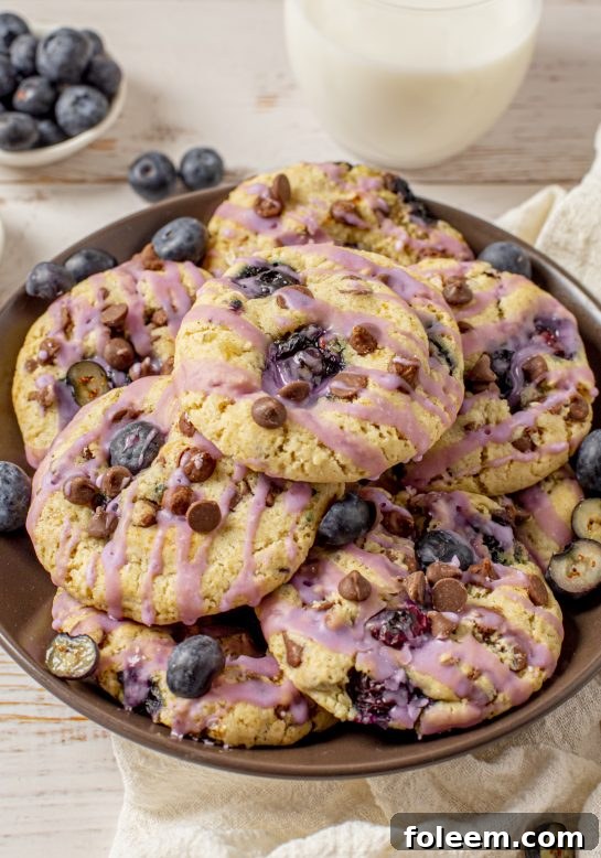 Deliciously thick, soft, and chewy Blueberry Chocolate Chip Cookies, perfectly spiced and stuffed full of fresh blueberries, ready to be enjoyed.