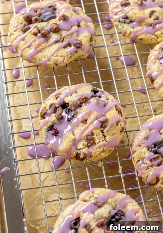 Blueberry Chocolate Chip Cookies are deliciously thick, soft, and chewy cookies that are full of fresh blueberries with a beautiful, tangy blueberry glaze, a true delight.