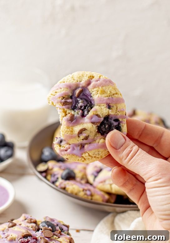 Blueberry Chocolate Chip Cookies are super thick, soft, and chewy cookies that are perfectly spiced and stuffed full of fresh blueberries, making for a delightful dessert.