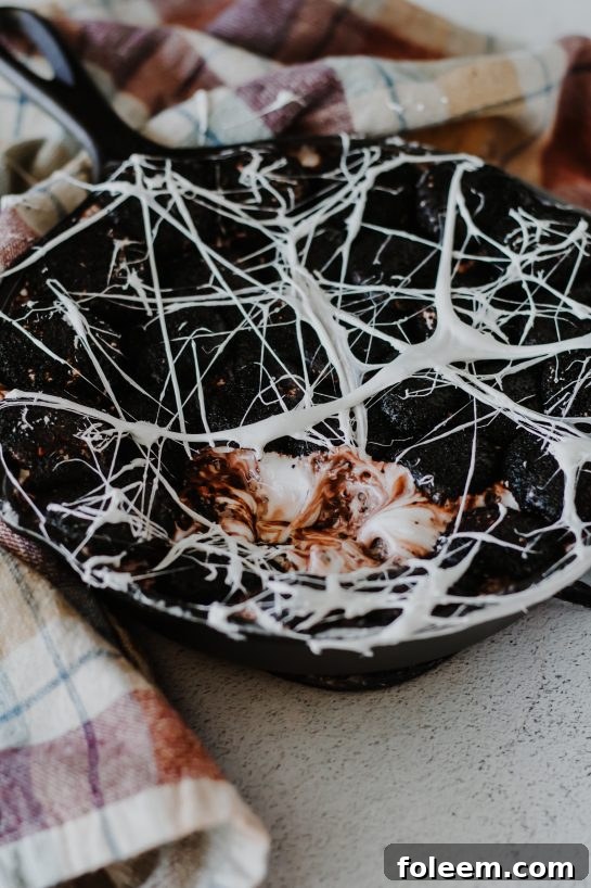 Spooky Spiderweb S'mores Dip, a quick and easy Halloween dessert idea featuring melted white chocolate, toasted marshmallows, and black sugar accents