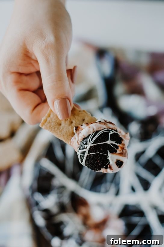 Full view of a Spiderweb S'mores Dip in an iron skillet, featuring toasted marshmallows, melted white chocolate, and a delicate marshmallow web, served with graham crackers, cookies, pretzels, and fruit for dipping