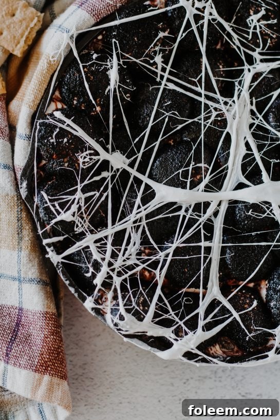 Detailed close-up photo of the Spiderweb S'mores Dip, showing the textures of the melted chocolate, toasted marshmallows, and the fine marshmallow web design