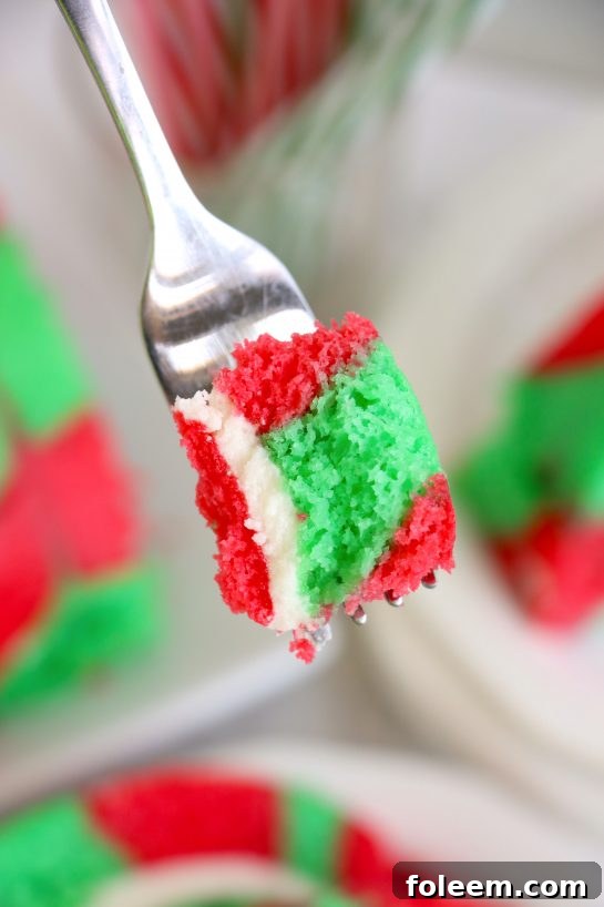 An elegant close-up of the Christmas Cake Roll, highlighting the intricate swirl of colors and the delicate texture of the sponge cake.