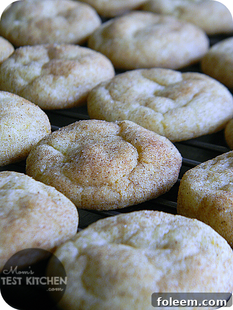 Amazingly tasty Vanilla Pudding Snickerdoodles, featuring classic cinnamon sugar coating with an added boost of vanilla pudding for superior softness.