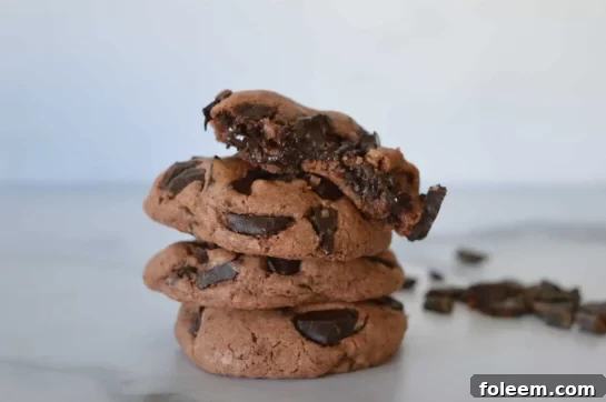 Decadent Double Chocolate Pudding Cookies, intensely rich and chewy, offering the ultimate chocolate fix for any sweet craving.