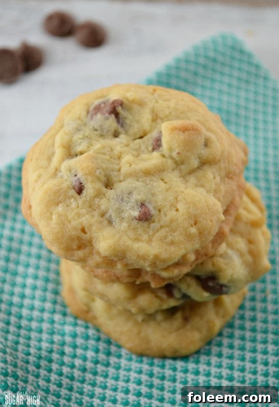 Tropical-inspired Chocolate Chip Coconut Cookies, a perfect blend of classic chocolate chips and sweet, chewy coconut for an exotic twist.