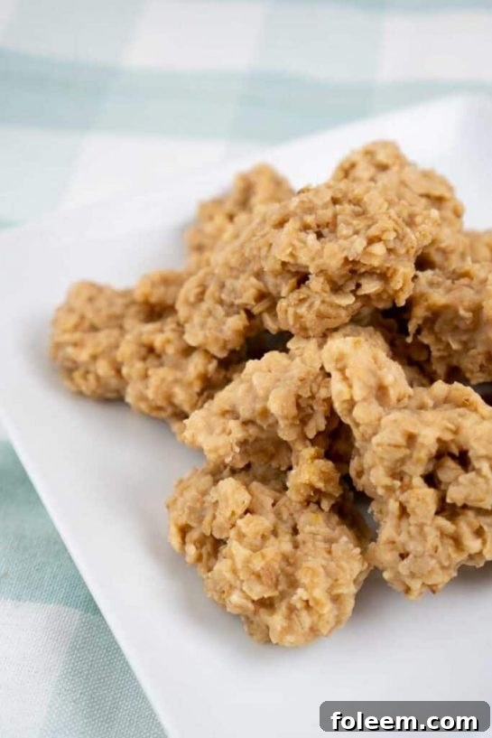 Seasonal Pumpkin Spice No Bake Cookies, infused with autumnal pumpkin pudding for a quick, easy, and flavorful sweet treat.