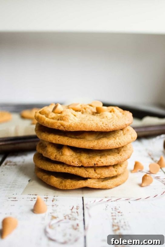Crisp and sweet Butterscotch Chip Biscuits, loaded with delightful butterscotch chips, offering a perfect balance of crunch and rich flavor.
