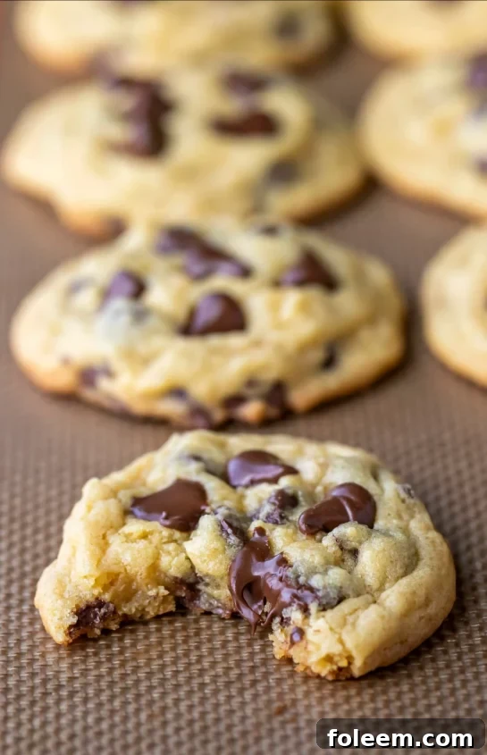 Ultimate Chocolate Chip Pudding Cookies, an enhanced classic with added pudding for extra moistness, chewiness, and an unforgettable flavor.