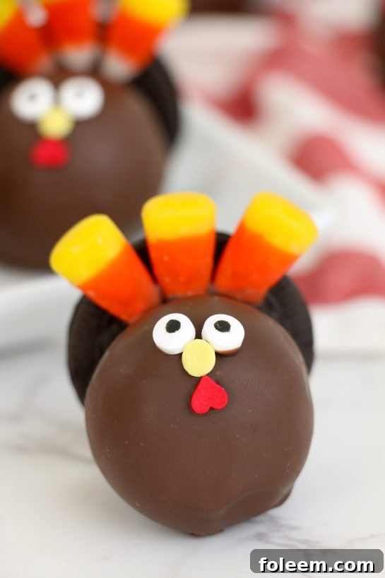 Easy-to-make Turkey Cake Pops are perfect for fall and Thanksgiving dessert tables.
