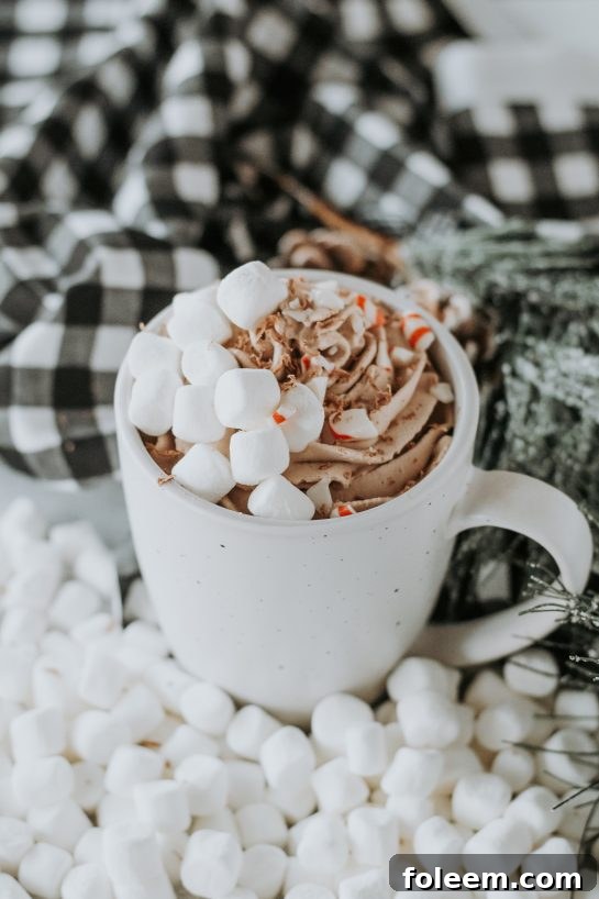 A close-up view of a rich and inviting mug of whipped hot chocolate, adorned with a generous swirl of chocolate cream, ready to be enjoyed.