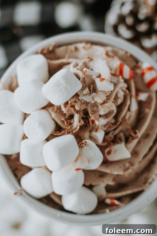 Another overhead perspective highlighting the luxurious texture and rich appearance of the whipped hot chocolate, presented simply in a mug.