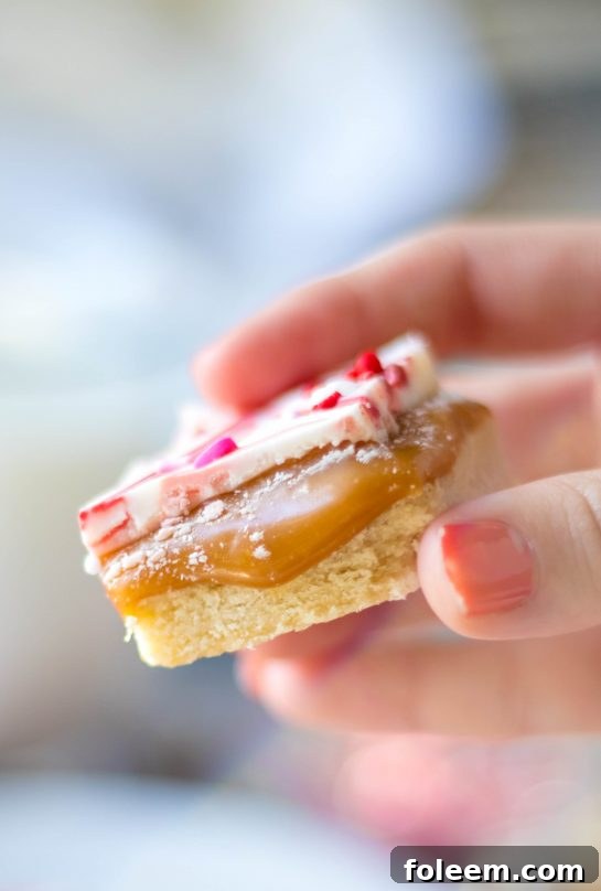 Close-up shot of the finished Valentine's Day Millionaire Bars recipe